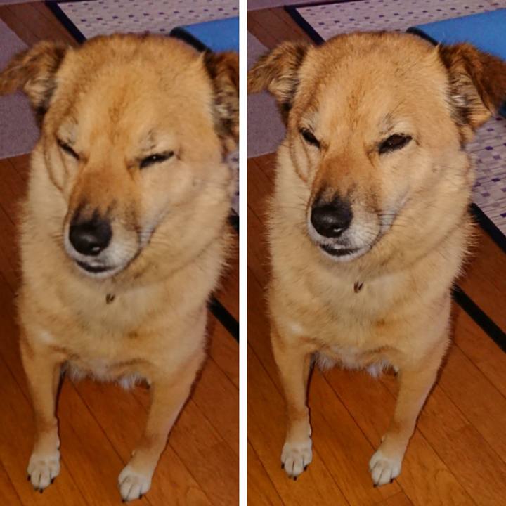 51386886 dd62 4cbd 9891 5d284ff2d0b0 1594038664303