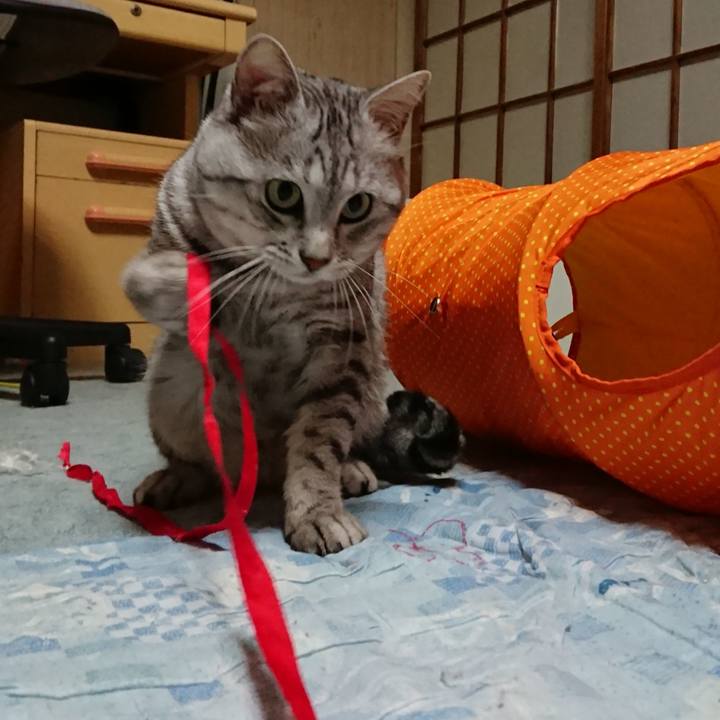 51386e49 31cd 491a 93d9 b427a0ab8983 1539440211900