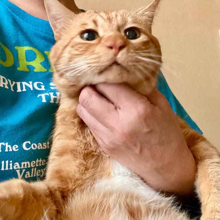 5138b829 5cc5 4e1f b7b2 80437b5884ae 1767761345404