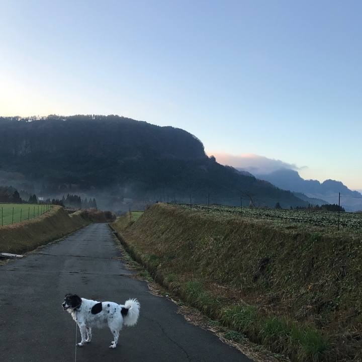 5138c0fc 5934 4e1e b8d9 a63bea58c7e6 1511848355356