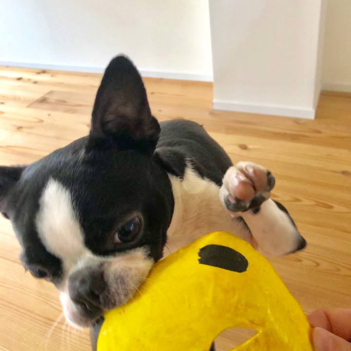 5138cd9e 3538 47cd a5ae 41c5e539cc76 1523674111314