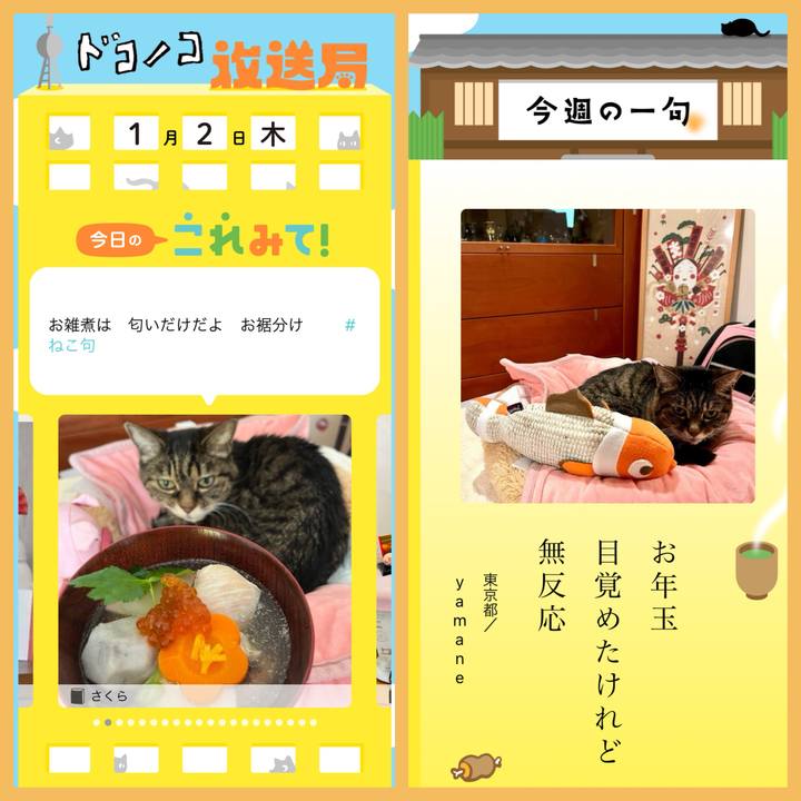 5138e3f6 d38d 4c73 8b3d 7b7e4e1c6066 1767323495342