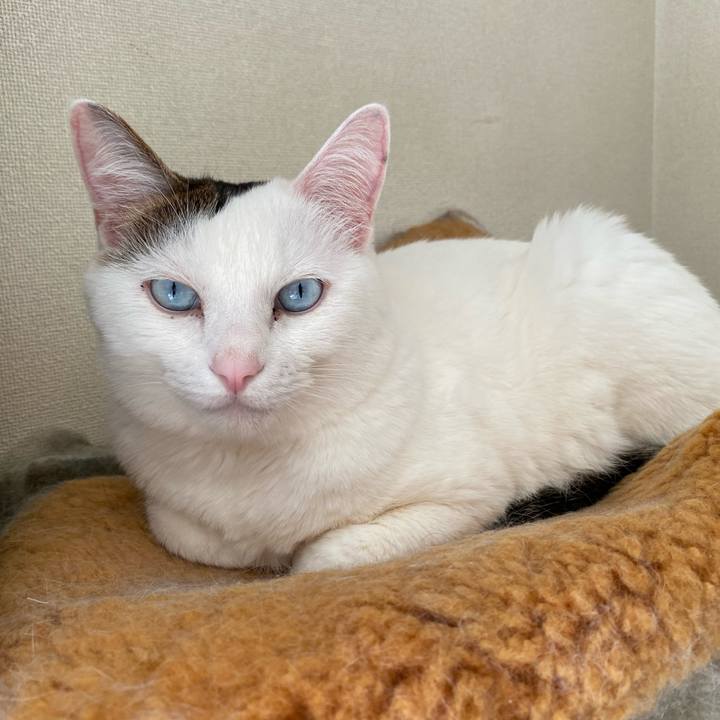 5138e9b8 3a45 4467 89ef dd95bc87410b 1672963765259