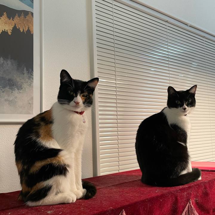 5138eb80 8c48 48b0 8ce8 dd8bca2da81c 1654515166915