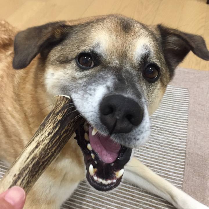 5138ffba b14d 4f3c a782 3e95cd7315f4 1537612031519