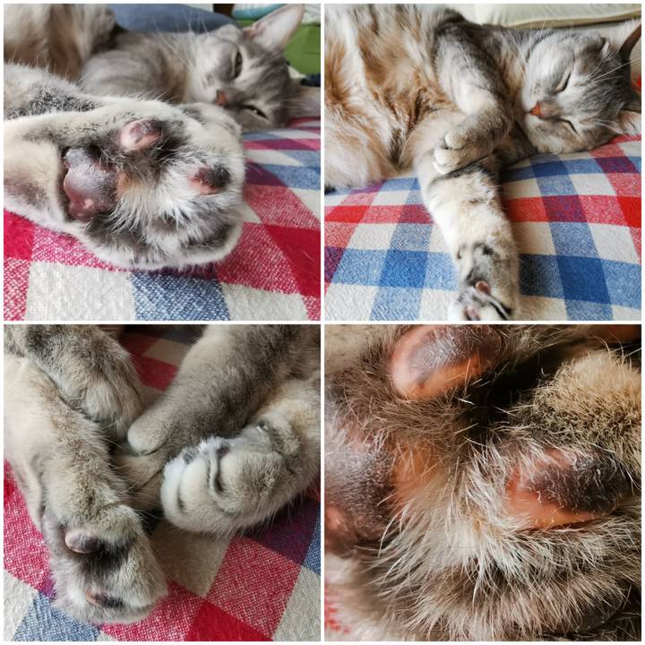 51390177 947d 4a40 b4ea 003a72239aaa 1653968663113