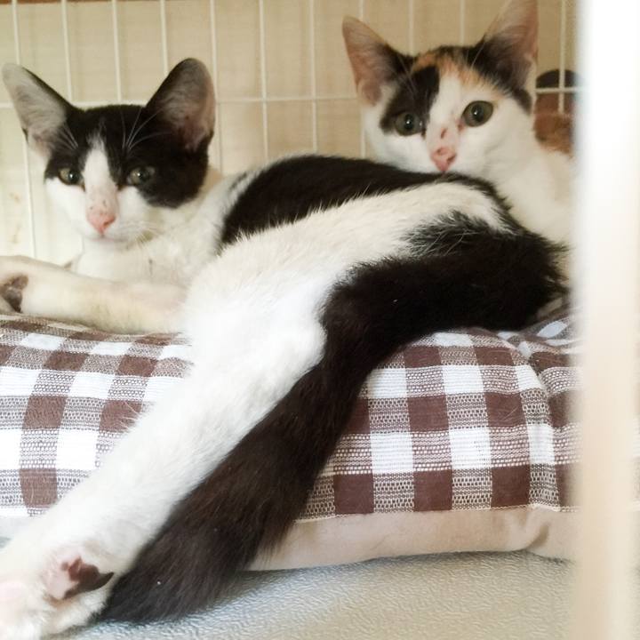 51398fb0 2df1 4a0e b81a b28a4fe12af7 1533434607464