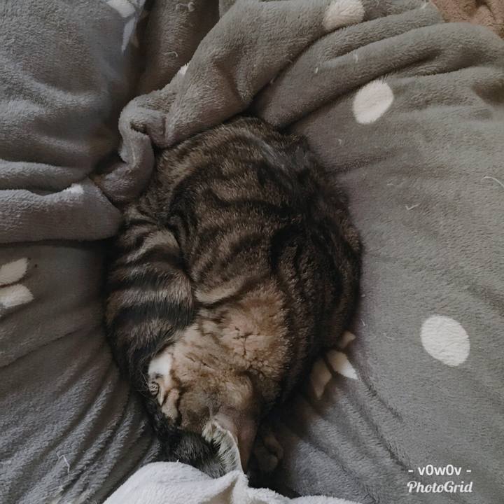 5139b133 a49d 4e67 b3c3 2bd0eae1203b 1543704627386