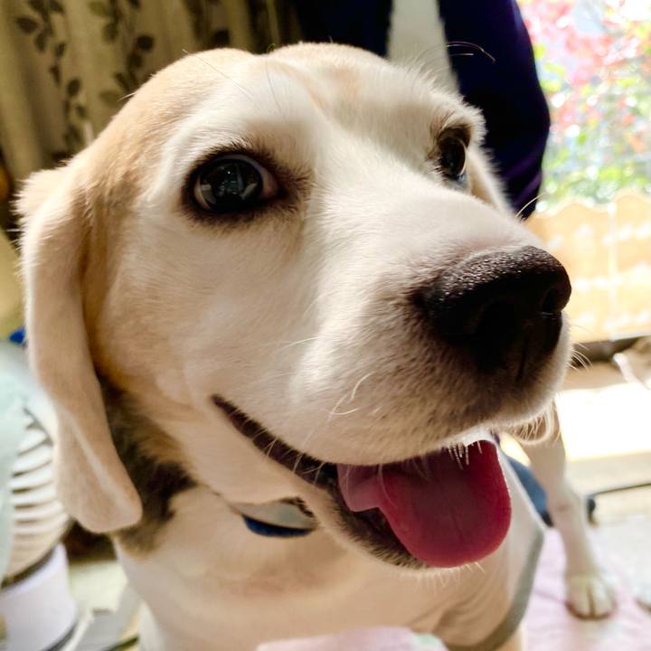 5139db8f 3c44 437a b340 1ff3b234d9e3 1618199504305