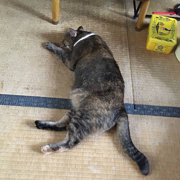 5139e805 bfe1 42d7 9afe df8702cfd46d 1755515425104