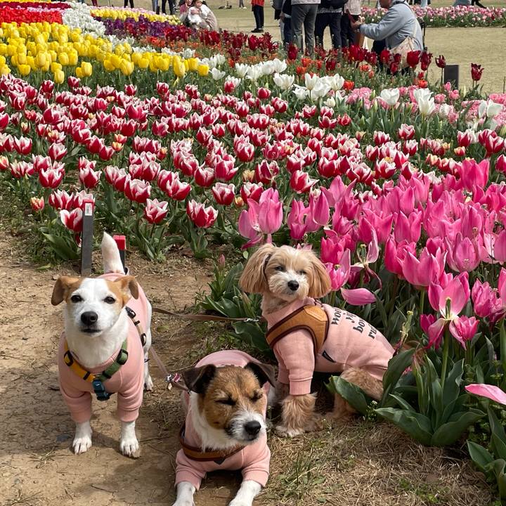 513a1be9 b838 4450 b810 94ba586bb3dc 1712062833338