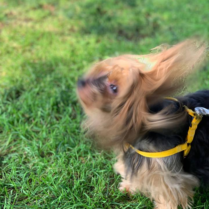 513a1c61 65cf 4838 919e 94a22f8ebbd7 1564730003832