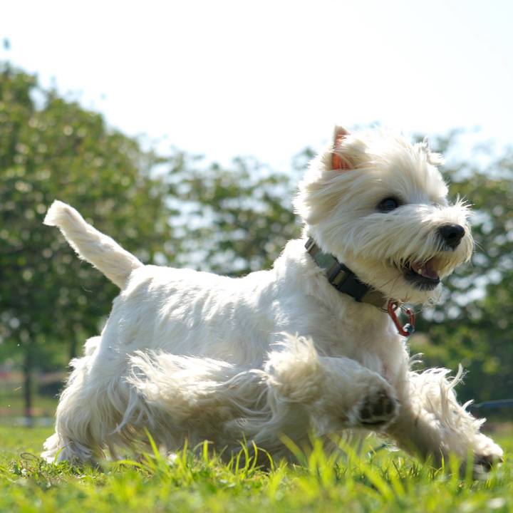 513a2038 0524 4d5c 87b3 33c5164a16d2 1524346795829