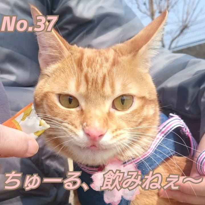 513a8cf5 2956 4835 80c6 5fc6690be530 1522501594405