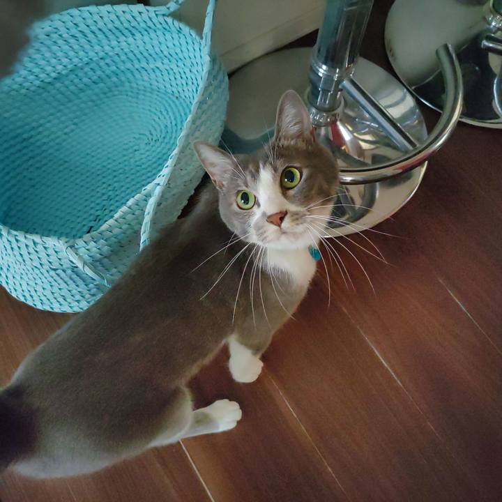 513ab720 8a74 4bf3 8b04 e8c59990844f 1660514530714