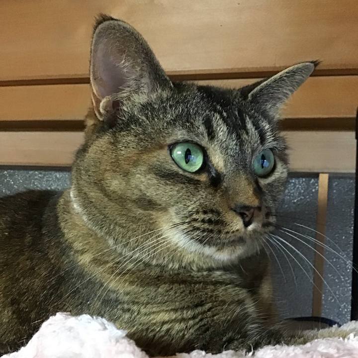 513afce5 91fd 45d4 9f74 53a14eb160be 1723883174455