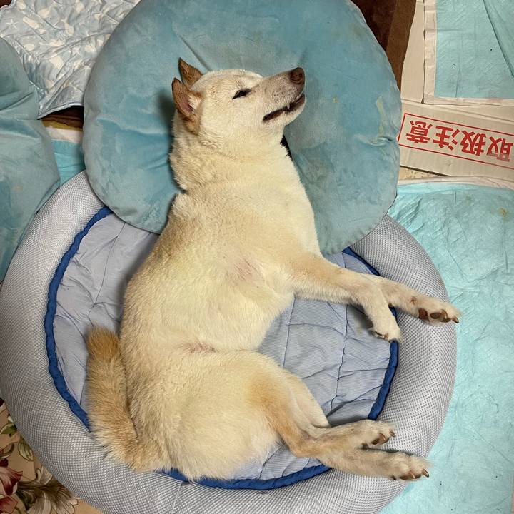 513b8af8 4a6a 4b0c a65b e0763ad27c5e 1657546199649