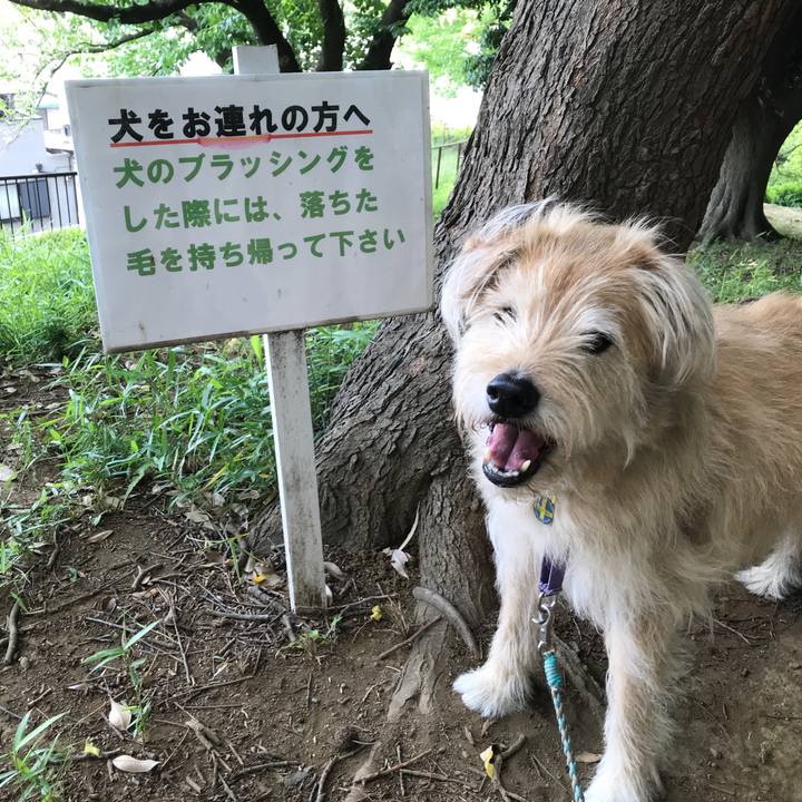 513bbbed b2a5 4dd3 aa82 a8ee85781ecf 1559527152048