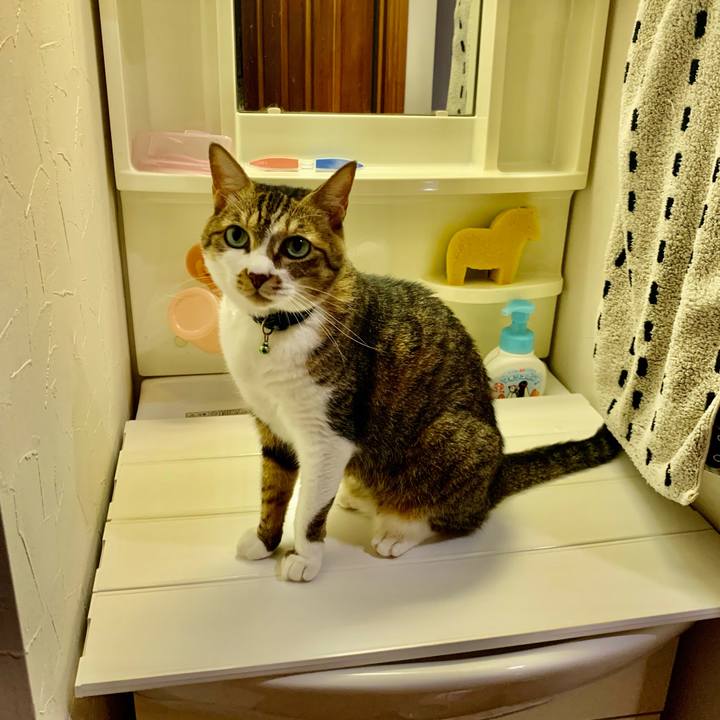 513bcf68 1e95 4cc3 9d8a bf27bc804aca 1626604883586