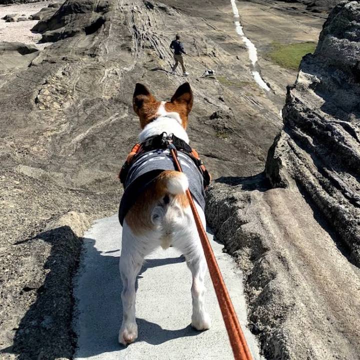 513be526 862f 45fd 97be 7103f9a1d988 1678793402521