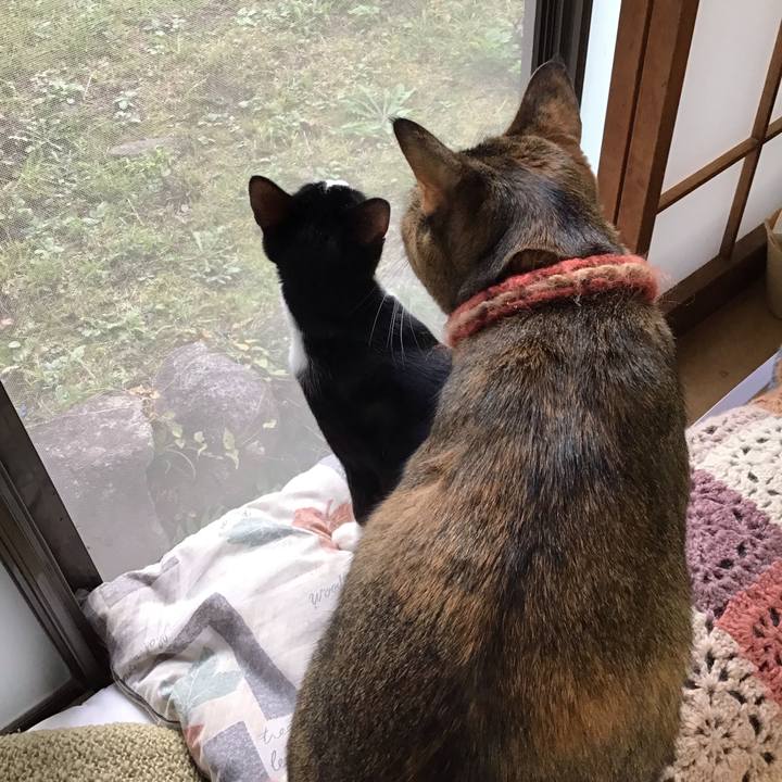 513bf0c8 e4b5 4753 b05b c2f501bc7f8e 1635904146861