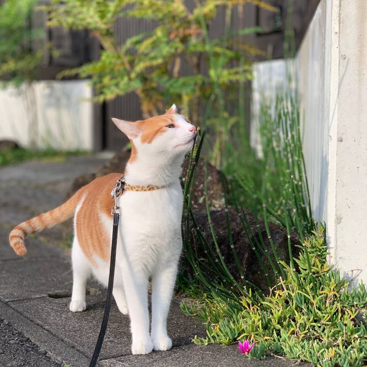 513c1ca5 e7bb 4761 a4f2 6b0fd4002112 1601679060533