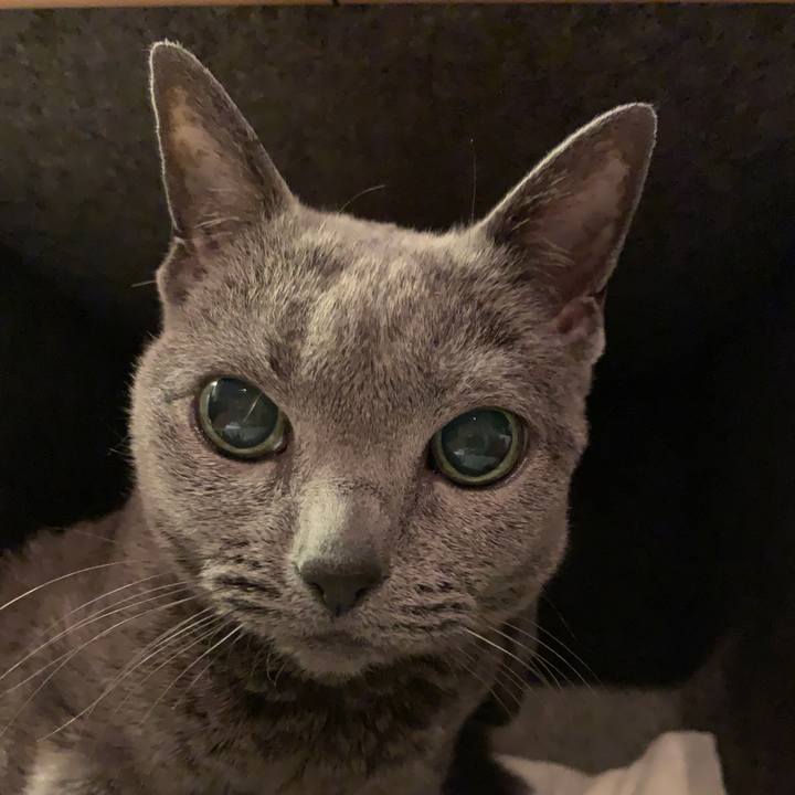 513c435c eb51 4af5 a33f a0cf34304f33 1609415894065