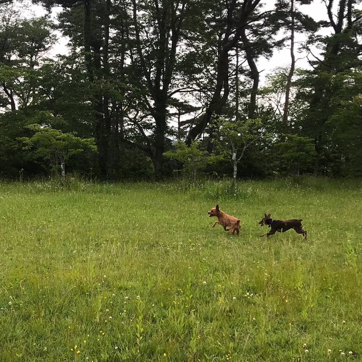 513c49cc dc02 47d9 9362 2487884029db 1560091565821