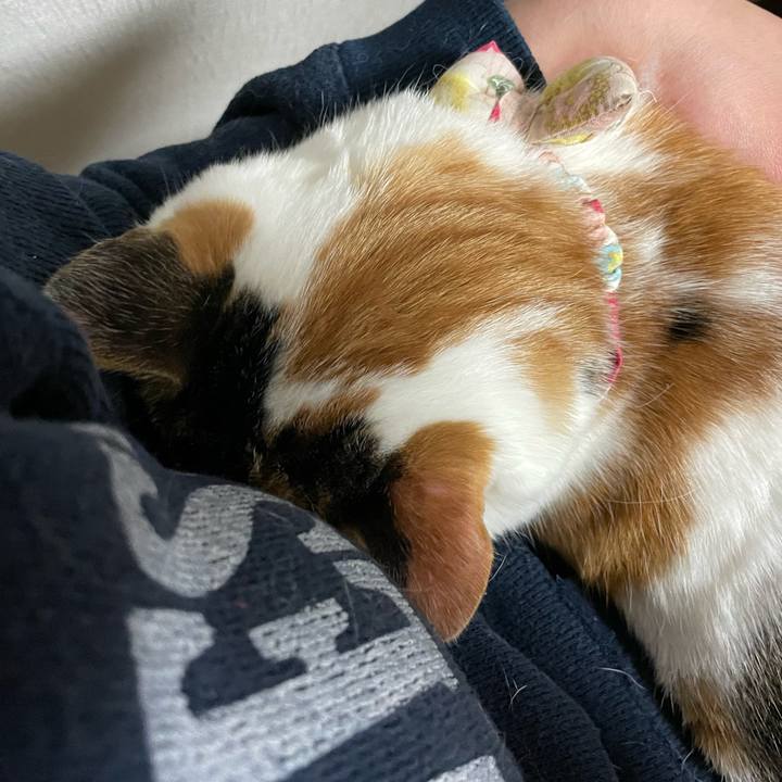 513c4fe6 051d 4e2c a2ab 22297257e877 1644415828913