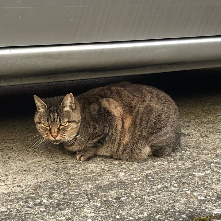 513c758b 7f22 40d8 9e47 53093b0a8e9d 1542789300164