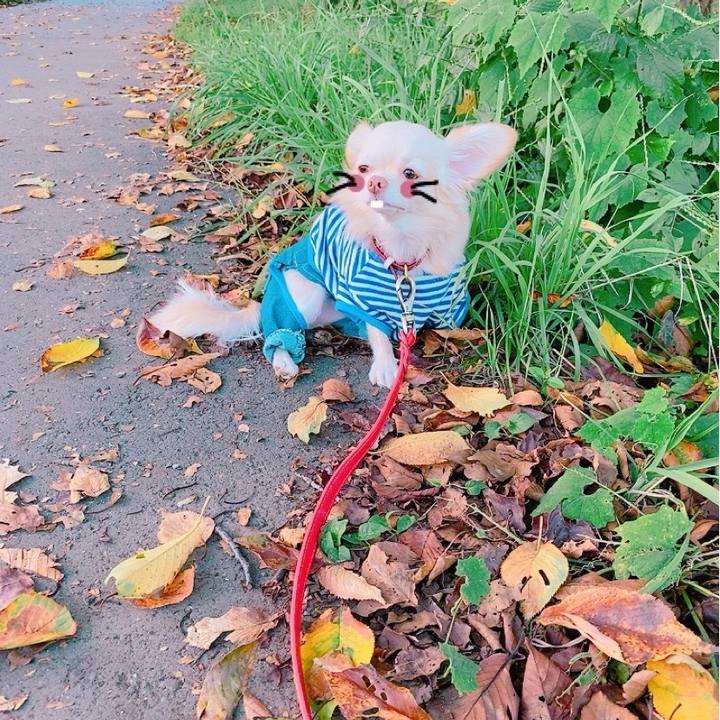 513c9a49 f0c0 49a2 a53c 1effe901ed11 1634301805397