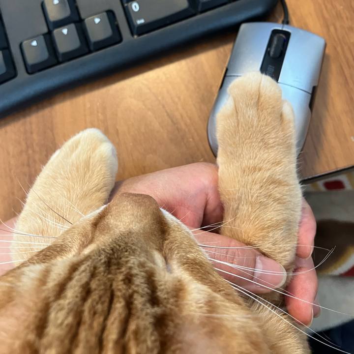 513ccf68 4dee 4b2e a1ff 8d617e3a6426 1772170055355