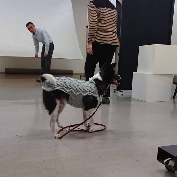 513cf19f 9b57 459b b1b9 d8563c3e88c2 1526998132066