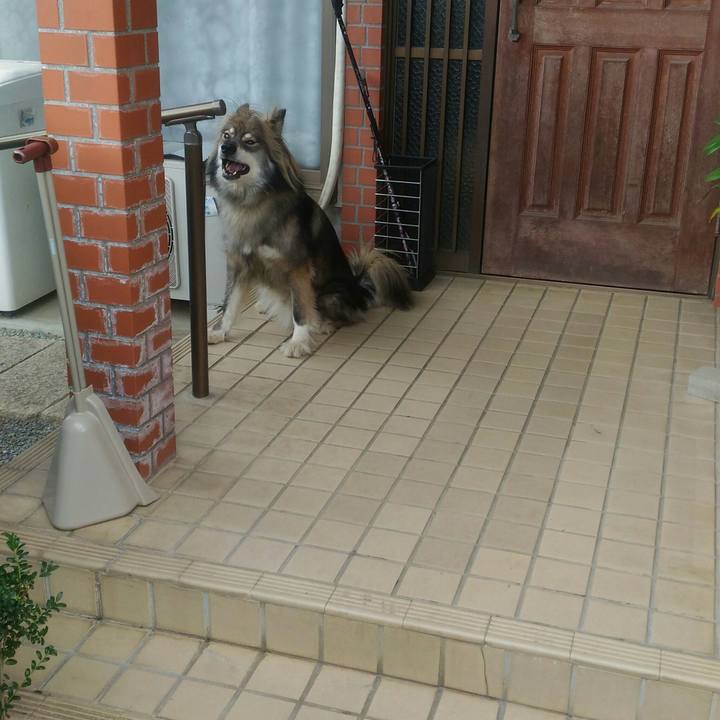 513d1ec7 574a 49ff b147 5fd08f51555f 1571158244171