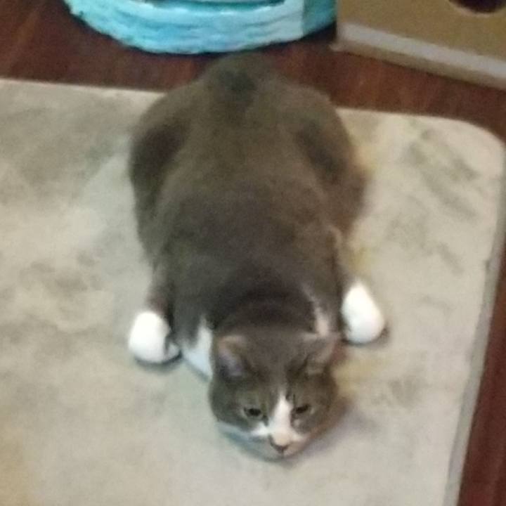 513d3ef1 a199 4782 9ad4 4bd3a57b74cb 1633090164778