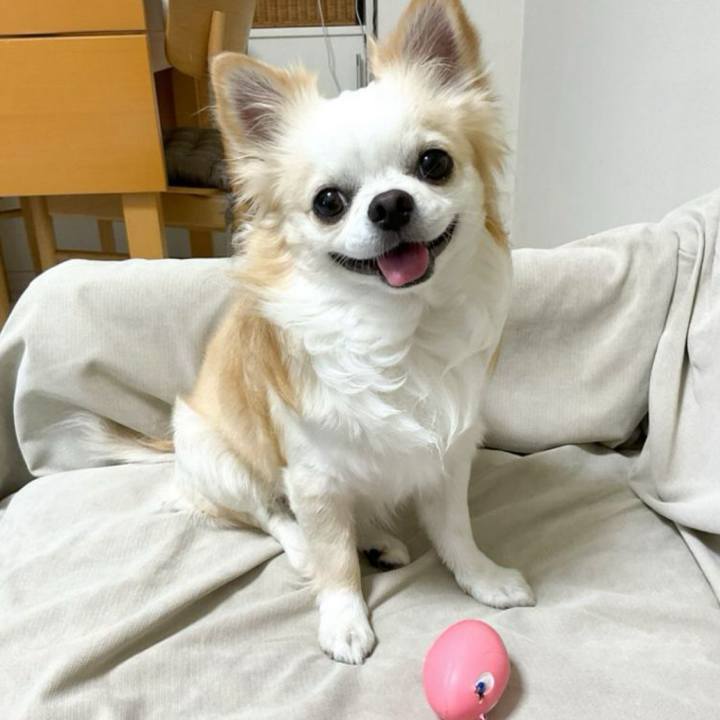 513d581e bcac 4252 a999 32e7dc84d52c 1759475632410