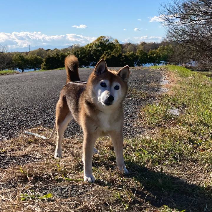 513d616b f8af 49a9 80b6 b8d0fa4b8773 1735043045917