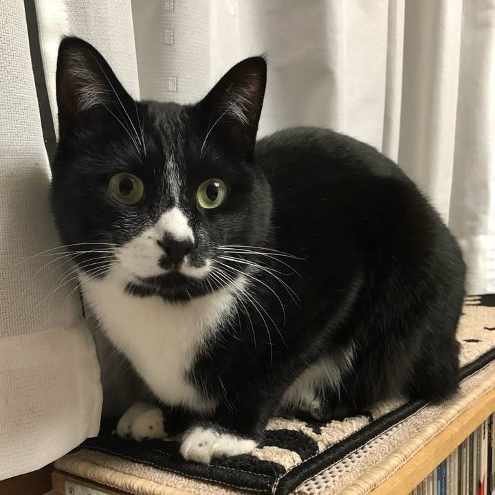 513d770d 6ee8 4226 8ad2 396fc790fb93 1548647739919