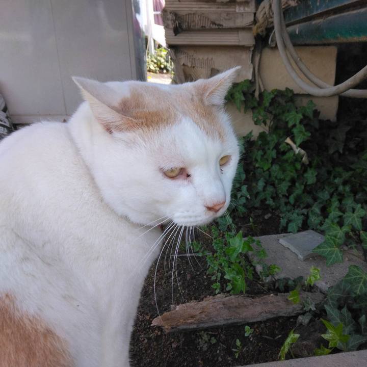 513d990c 4c19 4e9d 9124 a75412341eae 1680252994047