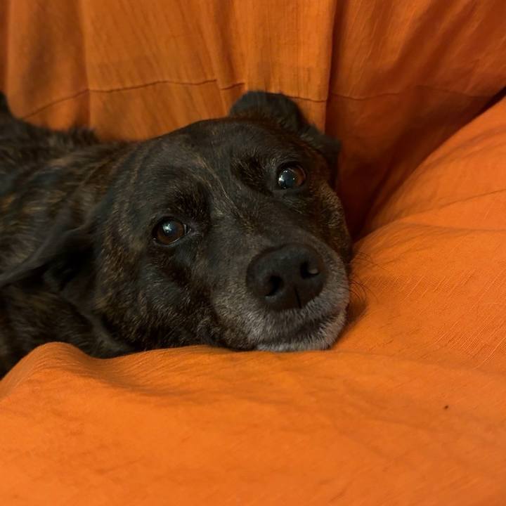 513da4f0 7782 45e3 89fe 1e31f4d332be 1766629179847