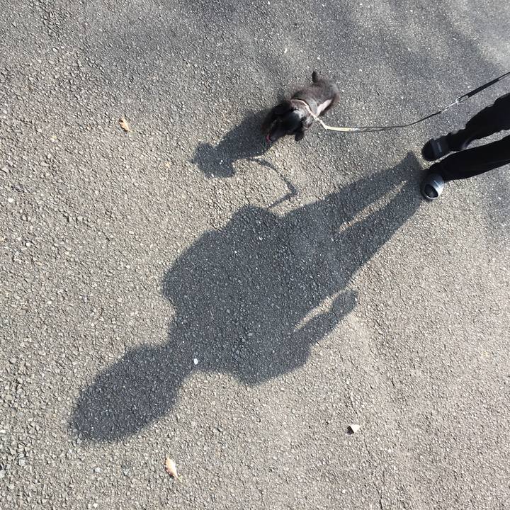 513dc749 ba6b 4694 9192 736d96b17342 1522565773446