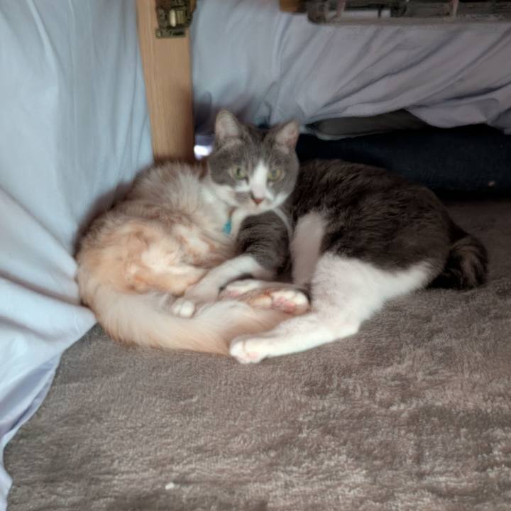 513e5881 ef70 4ce7 a91a c9a5c654ba26 1736040625849