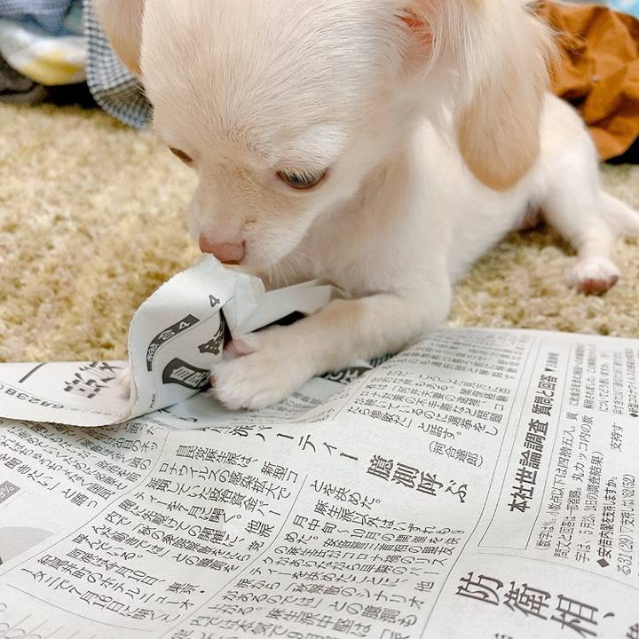 513e59f9 a68a 46e9 9598 7830b9597d52 1592882492468