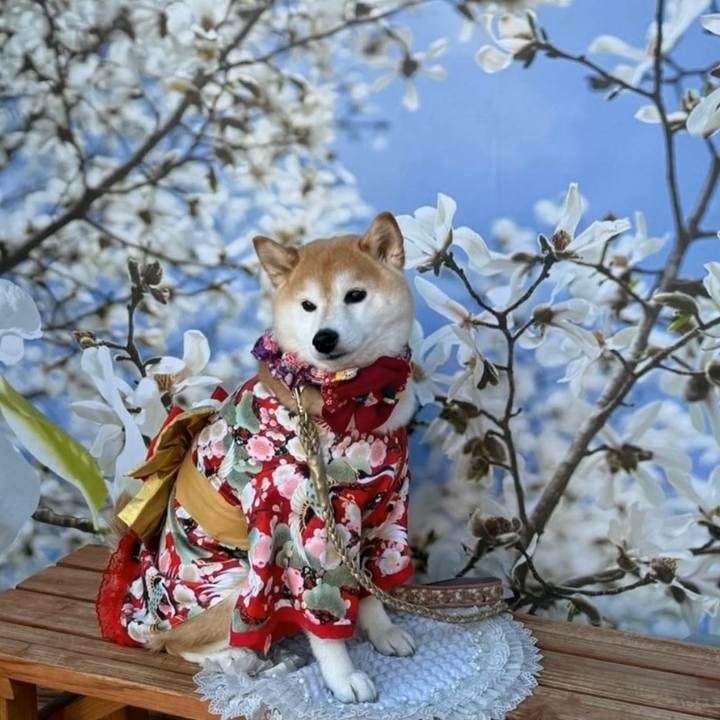 513e5fe0 56f2 4f5e a4b6 75b789824c64 1710219053472