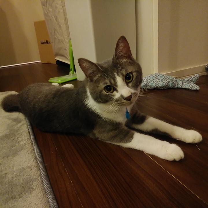 513e9814 0f64 400b 89af 010c81ac73cc 1590587456423