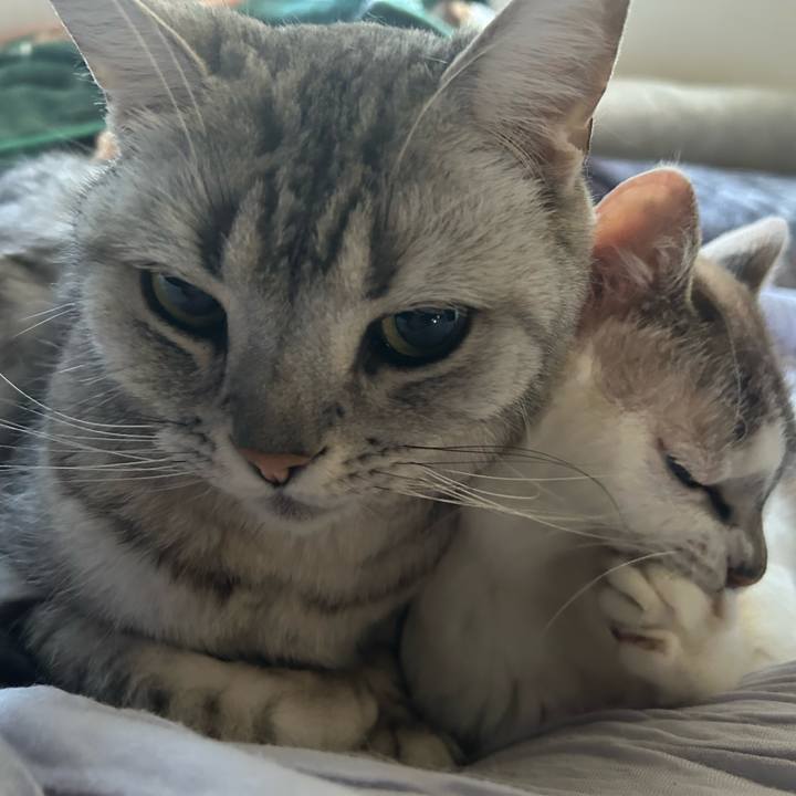 513ed9ea f501 4b93 af84 073c8b0d3a9d 1746221719124