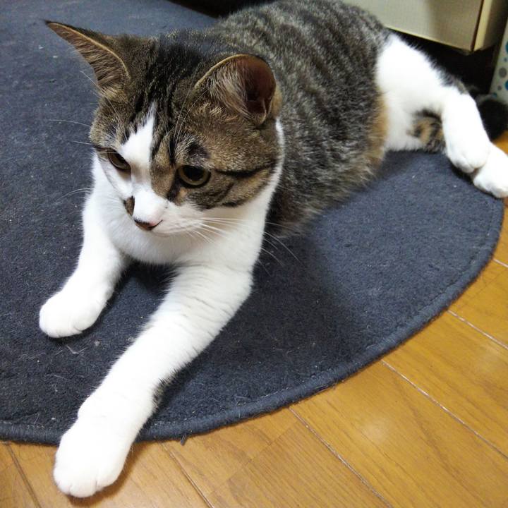 513ef044 dd37 4861 b331 25bf91860767 1653137011765