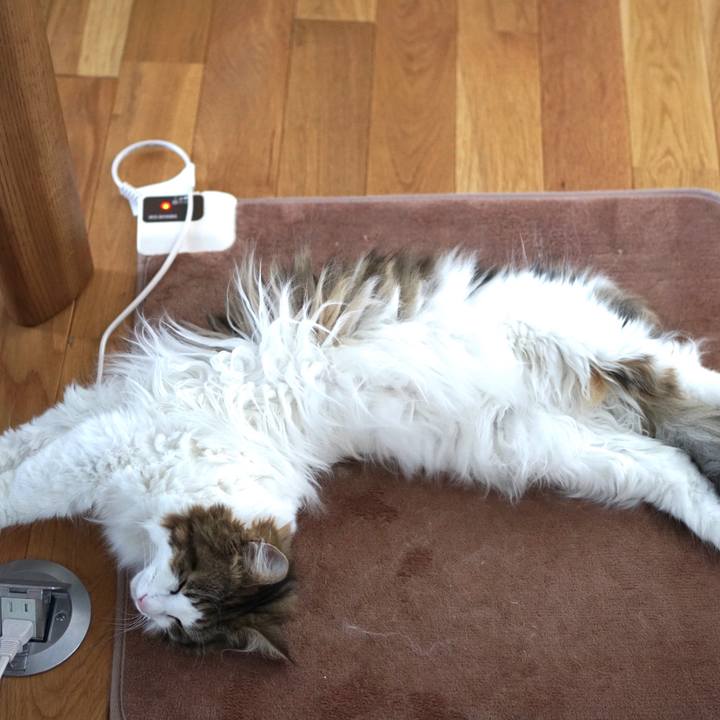 513ef4d2 aa89 46ef b46f f804974c1d92 1573728986548