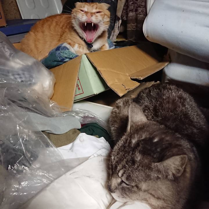 513eff72 ae66 482a a5b9 3dfadd20fe56 1560171936724