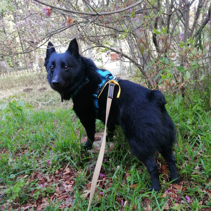 513f140d 4c9d 4420 9017 36ec53e08915 1681338038966